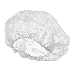 Approved Vendor BO-13821-B